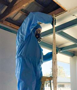 asbestos-removal